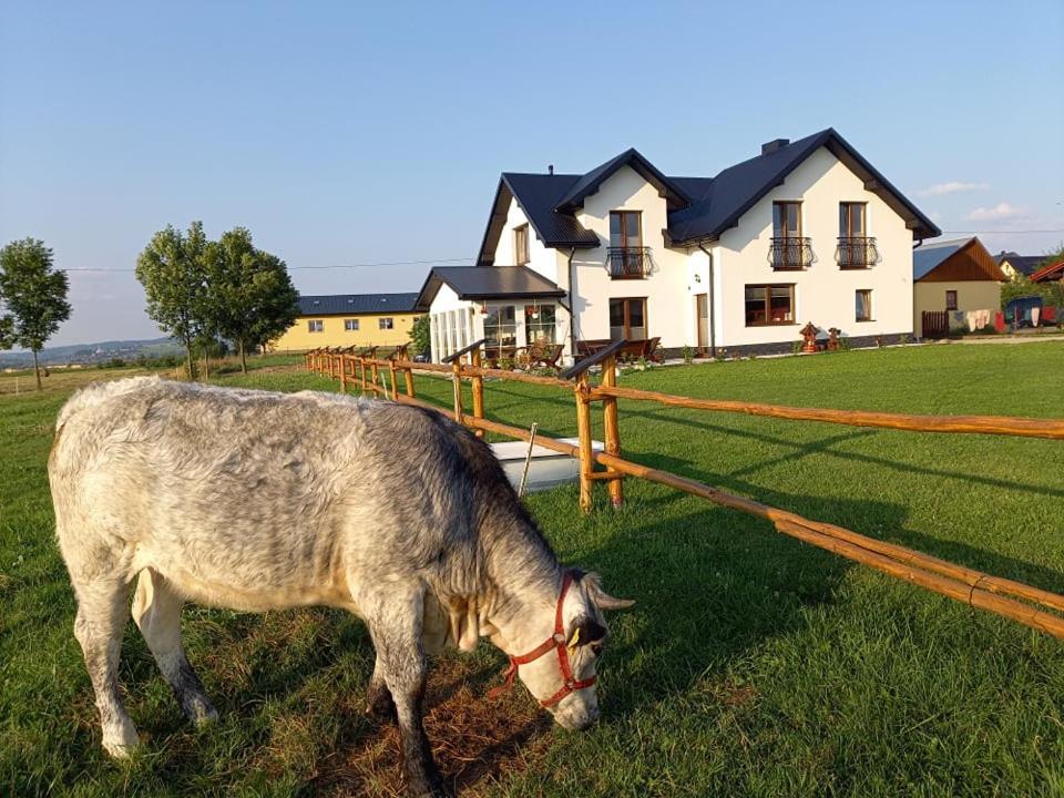 Zagroda Na Borach Jablonka (Lesser Poland) Exterior foto